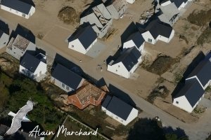 P1610238 2023 07 10 Allée Des Hérons, Allée Des Spatules